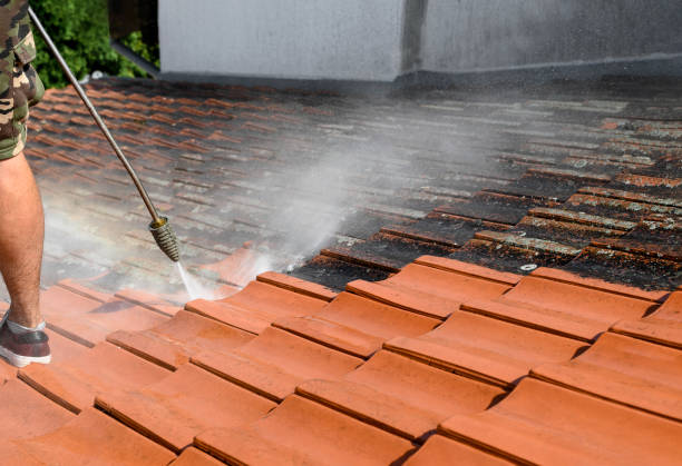 Best Pressure Washing Siding  in Van Meter, IA
