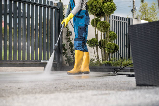 Best Pressure Washing Services for Businesses  in Van Meter, IA