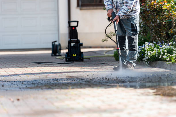 Best Pressure Washing Driveway  in Van Meter, IA