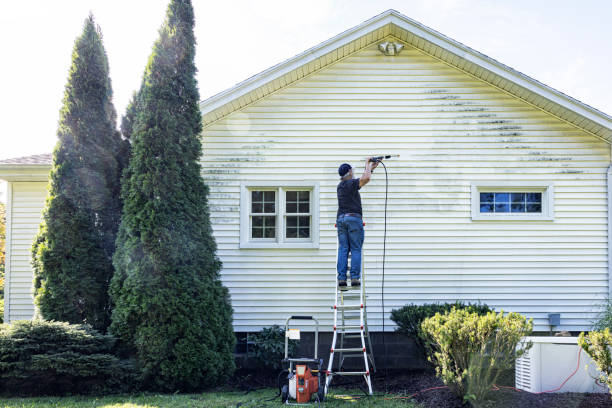 Best Pressure Washing Driveway  in Van Meter, IA