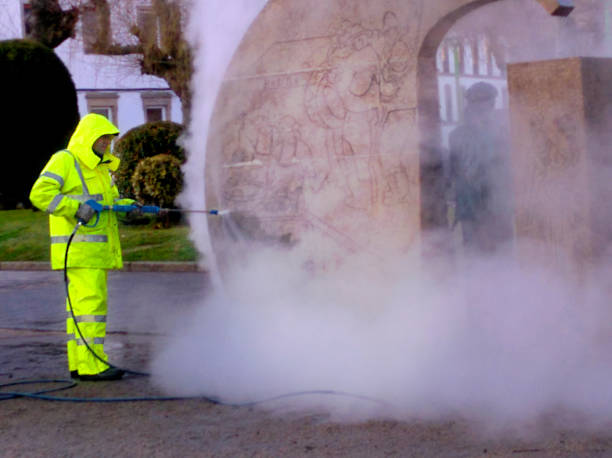 Best Local Pressure Washing Services  in Van Meter, IA