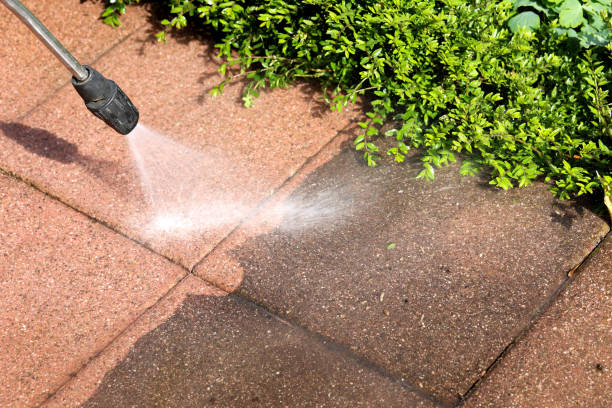 Best Pressure Washing Contractors  in Van Meter, IA